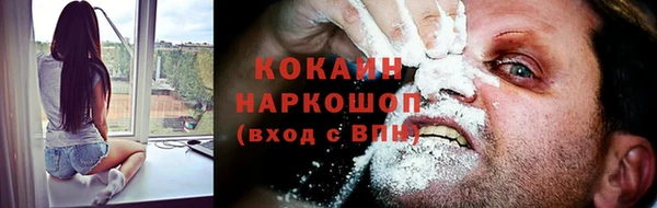 прущие грибы Бронницы
