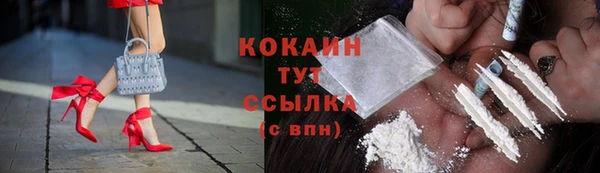 прущие грибы Бронницы