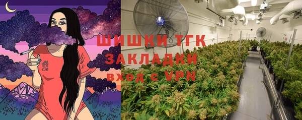 прущие грибы Бронницы