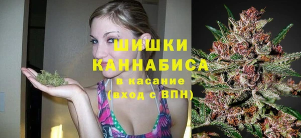 гидропоника Бородино
