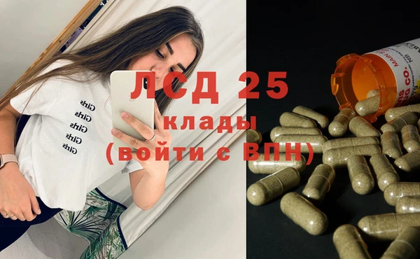 гидропоника Бородино