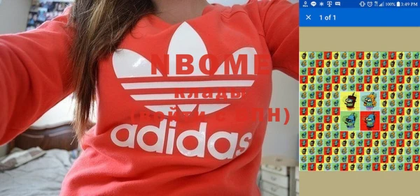 прущие грибы Бронницы