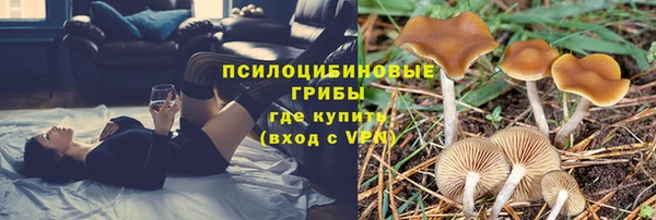 прущие грибы Бронницы