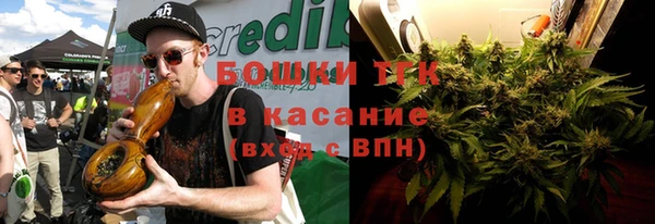 прущие грибы Бронницы