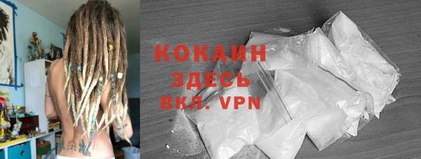 прущие грибы Бронницы