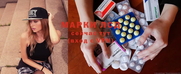прущие грибы Бронницы