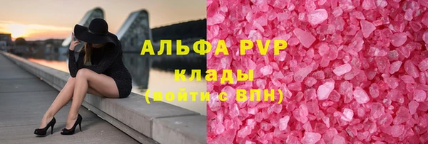 прущие грибы Бронницы