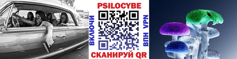 Псилоцибиновые грибы Psilocybe  где купить   Нерехта 