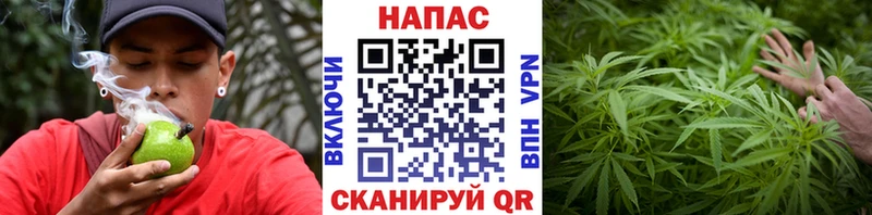 Конопля семена Нерехта