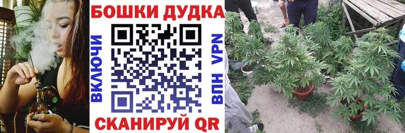Каннабис MAZAR  что такое   Нерехта 